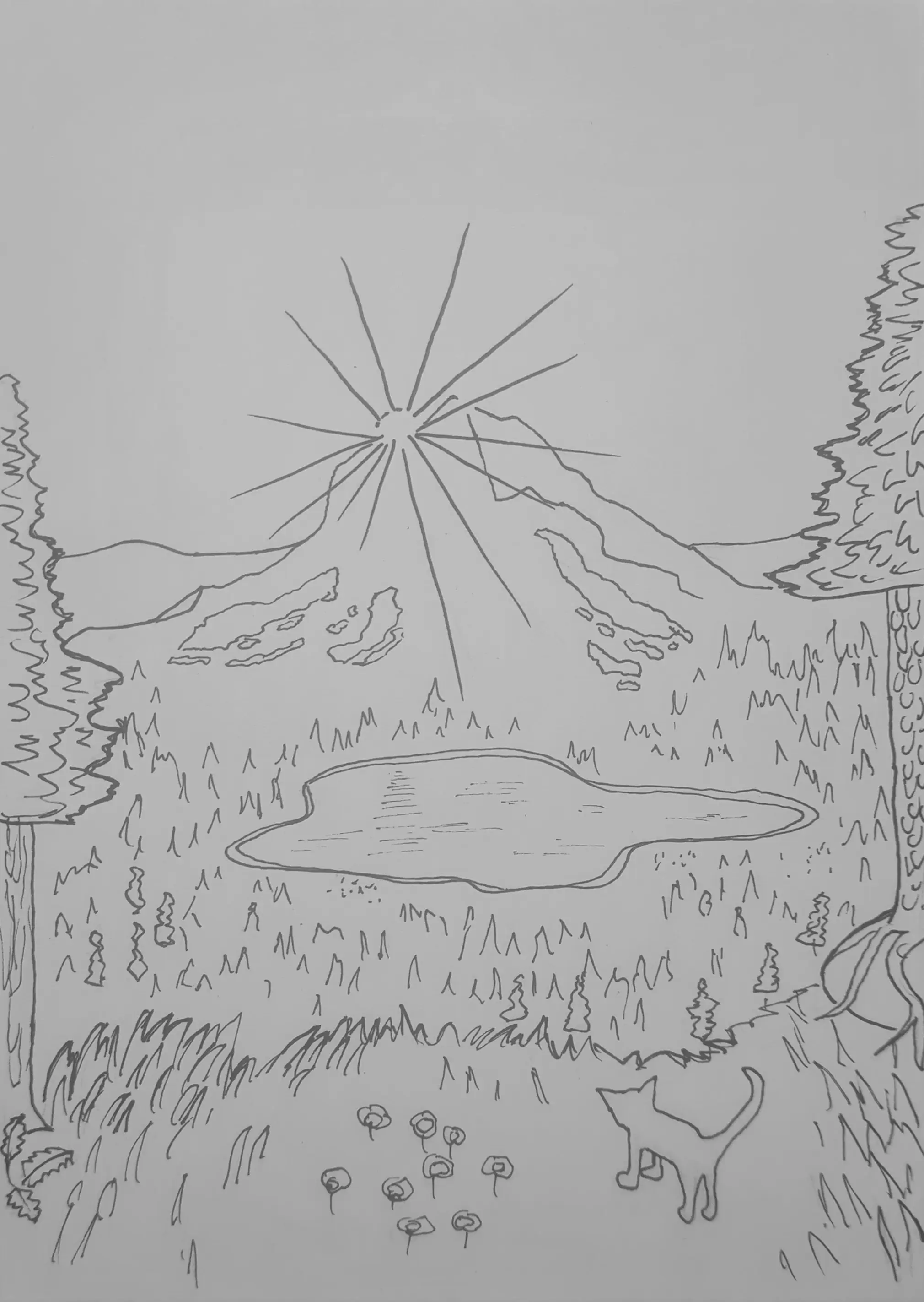 Day 13