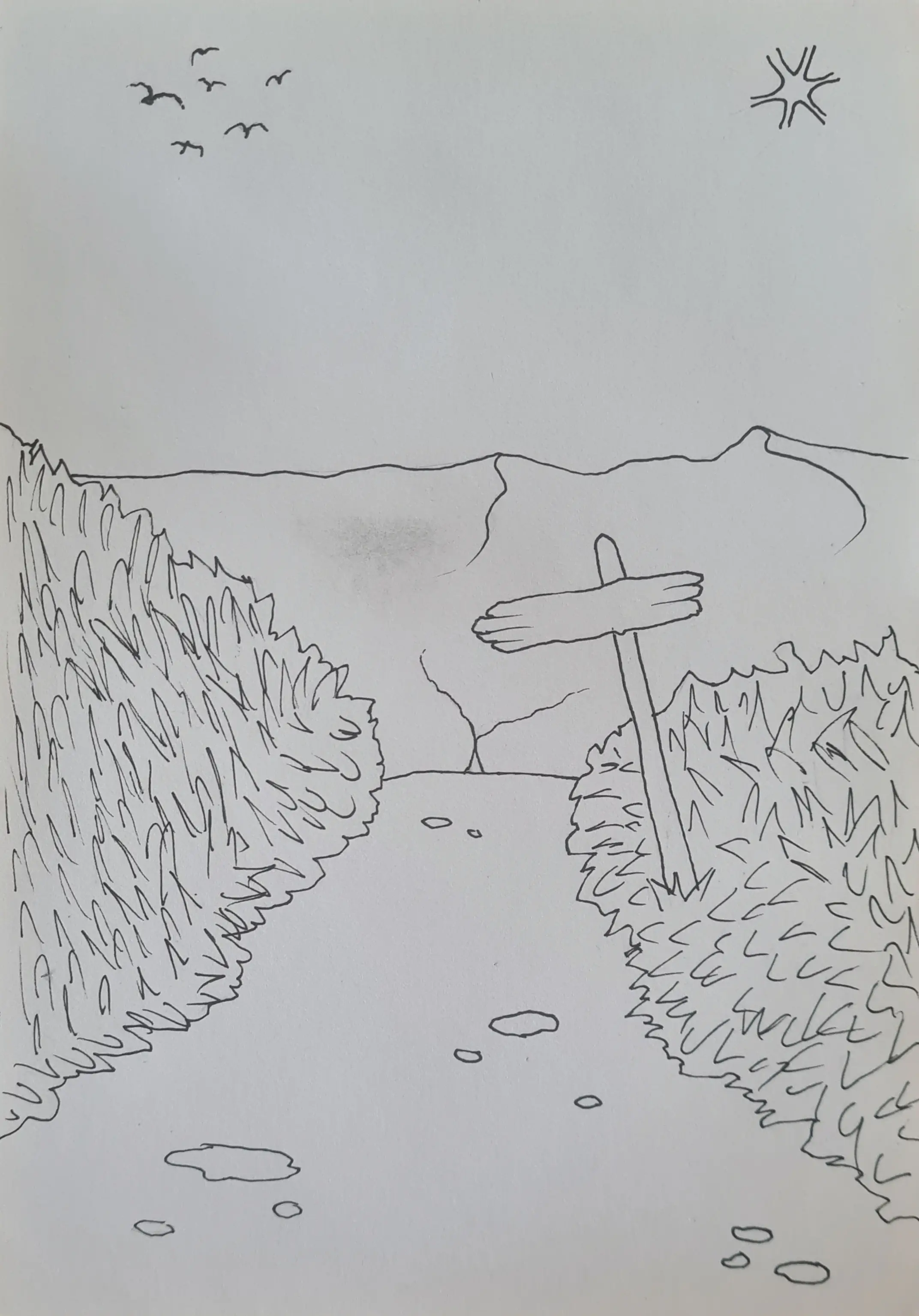 Day 3