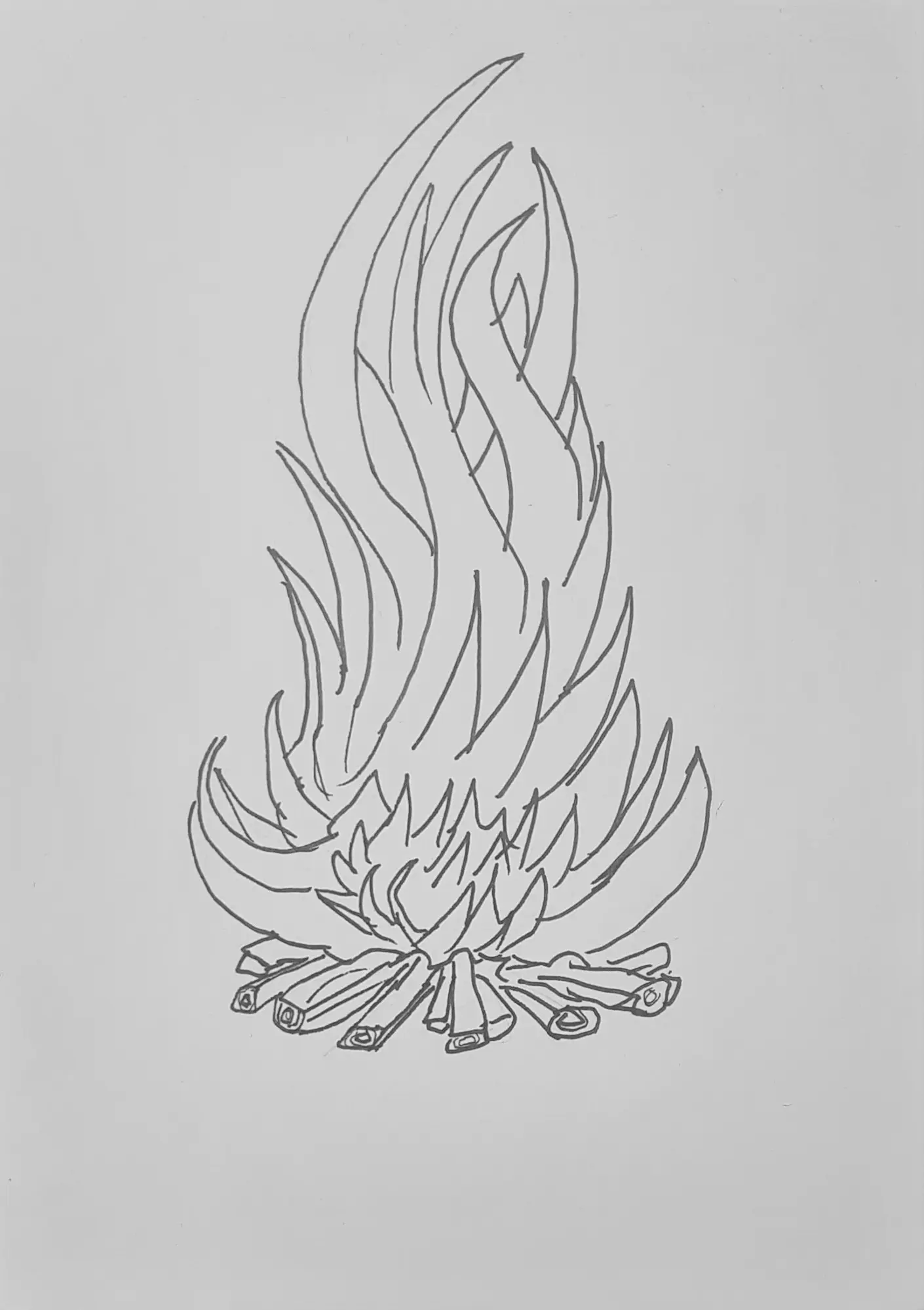 Day 31