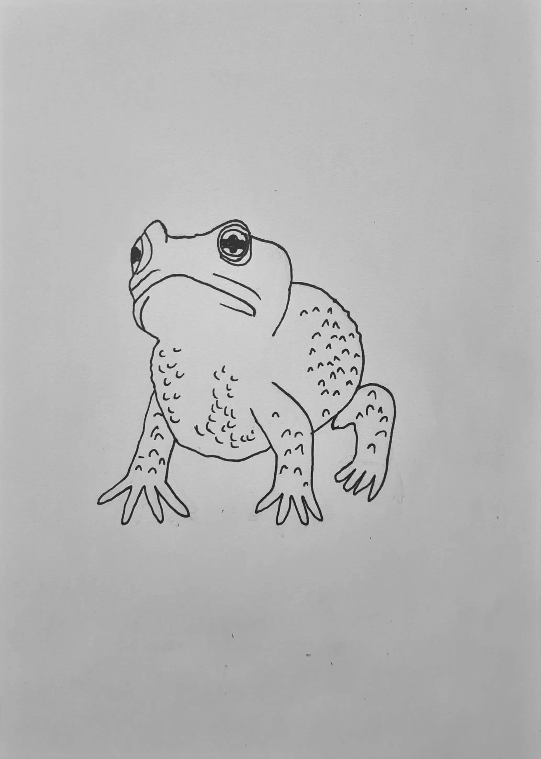 Day 8