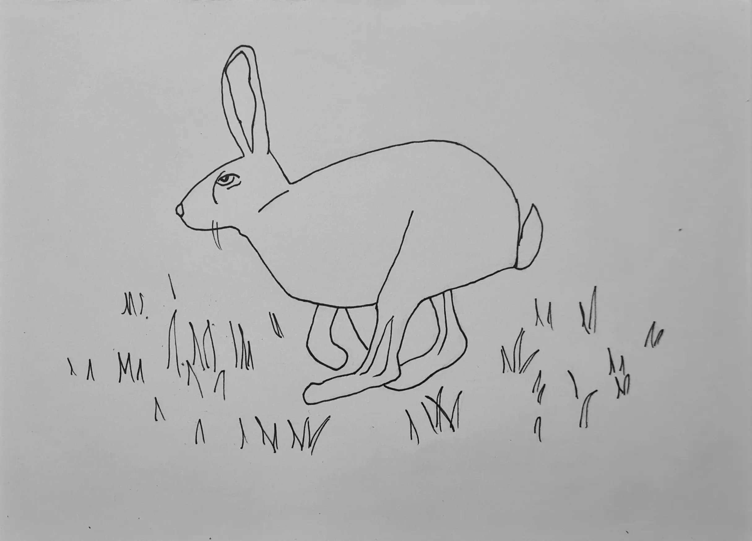 Day 9